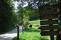 2011-08- (332)